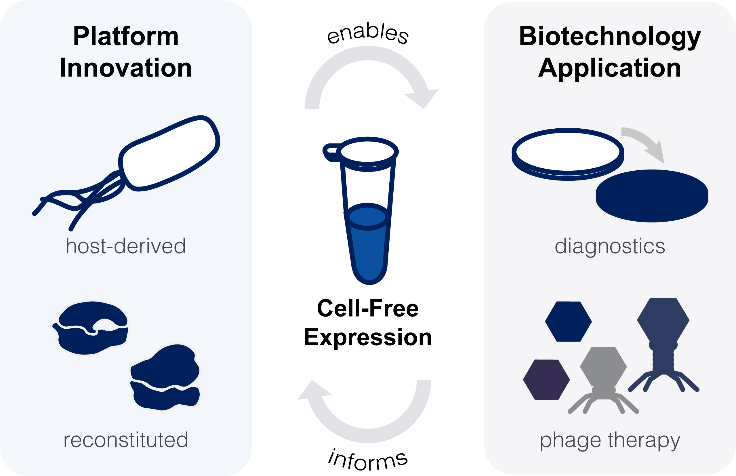 Platform innovation and biotechnology application feedback loop