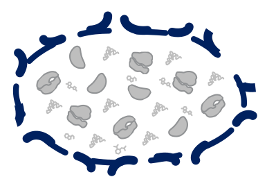 A microbe broken open, revealing the machinery inside